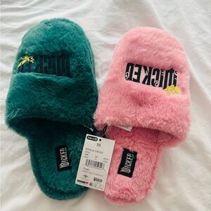 Adult Wicked Slippers